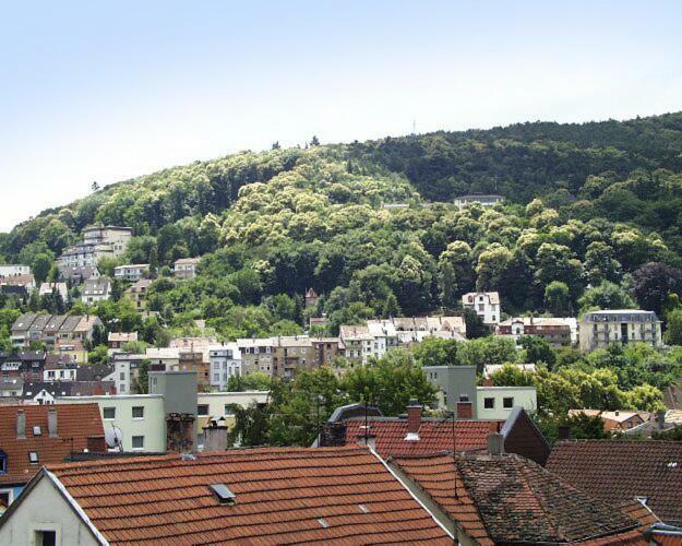 Ferienwohnung Appolonia Neustadt an der Weinstrasse Bagian luar foto